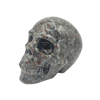 Yooperlite Skull
