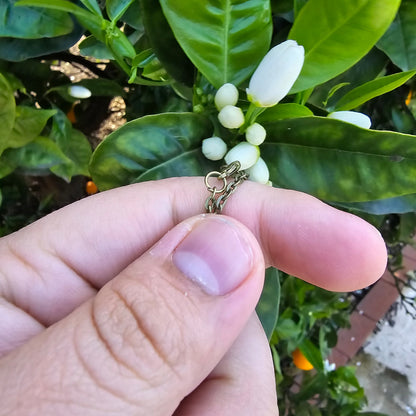 Antiqued brass orgonite necklace ,  8-pointed Star/Champagne Gold