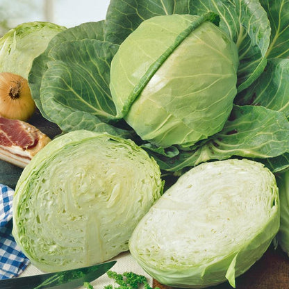Cabbage, Golden Acre, Seeds (Organic)