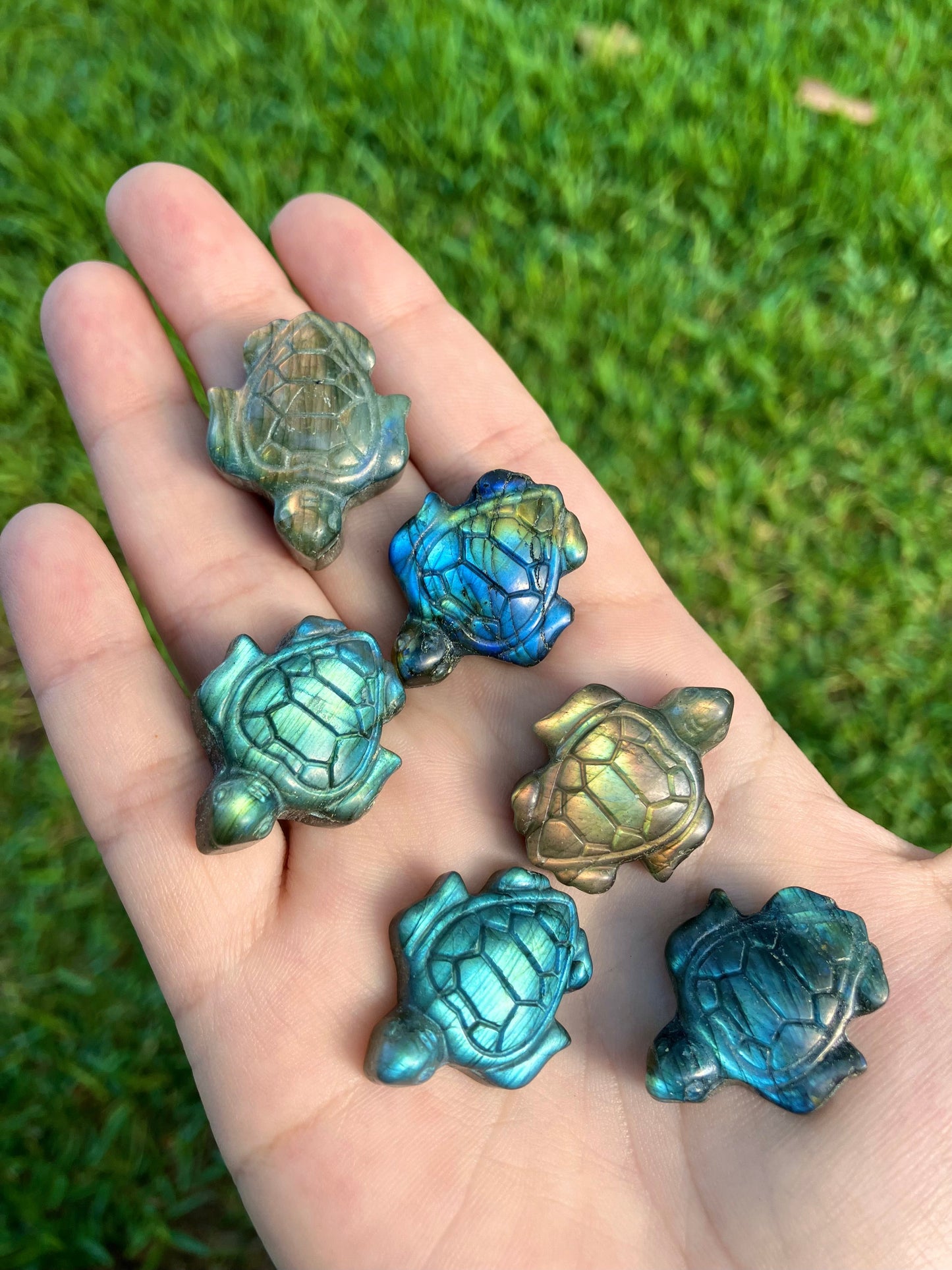 Labradorite Turtle Carving