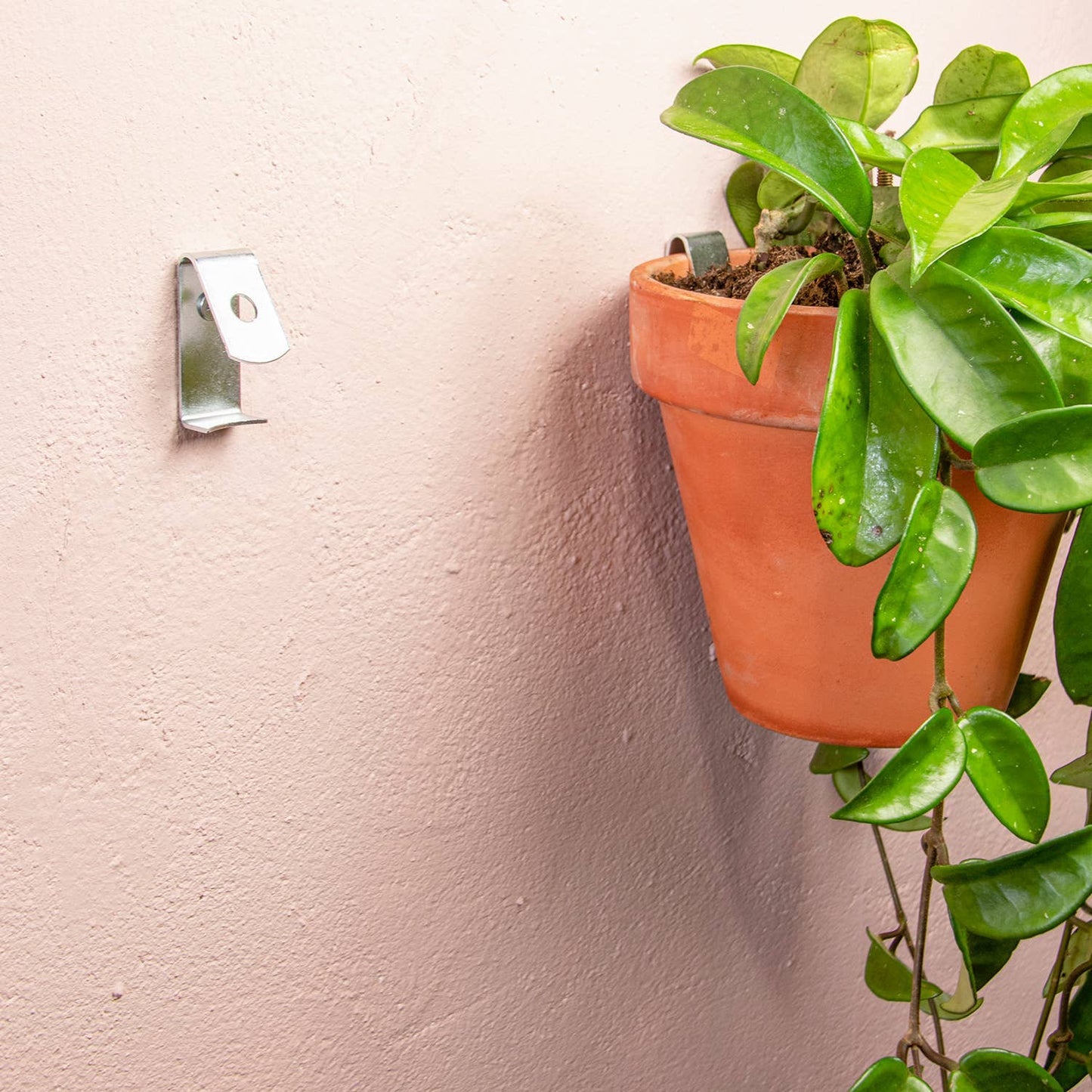 Wall mounting kit for 5 plant pots