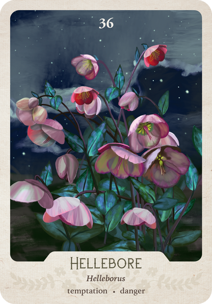 The Southern Botanic Oracle