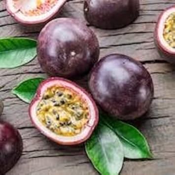 Purple Passion Fruit Seeds for Planting – Heirloom Non-GMO High Germination Organic Garden Seeds