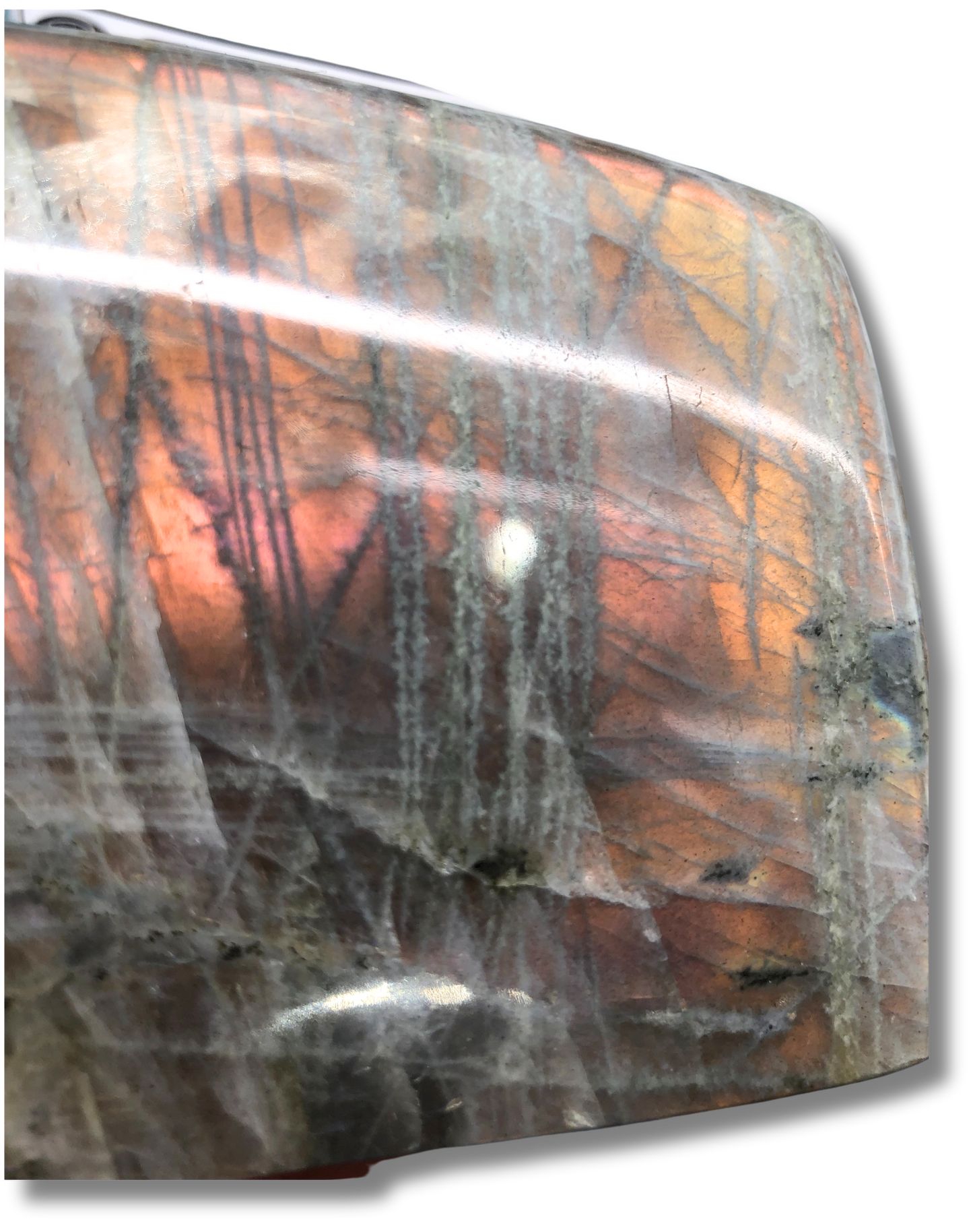 Purple Labradorite $115.00