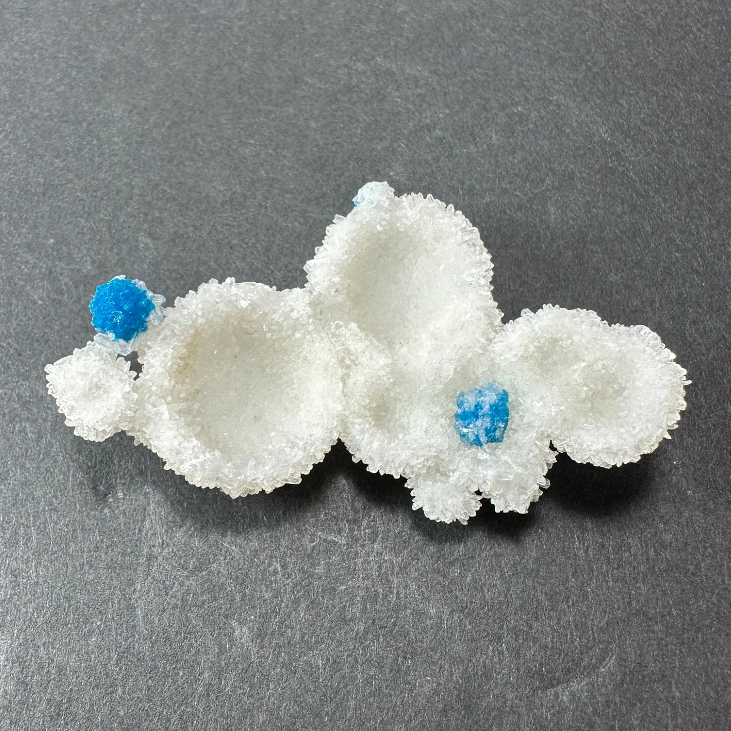 Cavansite Ball 'Floaters' on Stilbite MD