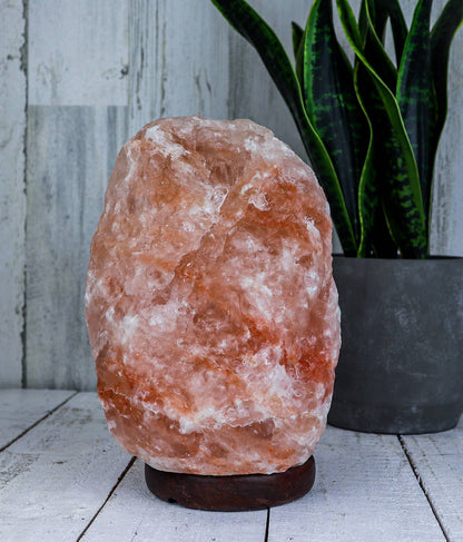 Himalayan Pink Salt Lamp – Large 12–15 lb with Dimmer Cord