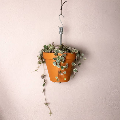 Hanging planter system for plant pots