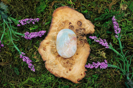 Chinese Amazonite Palms 2"