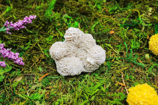 Desert Rose Selenite