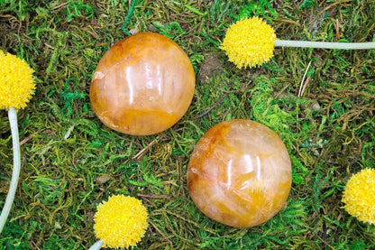 Golden Healer Palm Stone