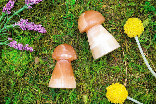 Honey Calcite Mushrooms 3" Tall