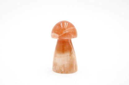 Honey Calcite Mushrooms 3" Tall