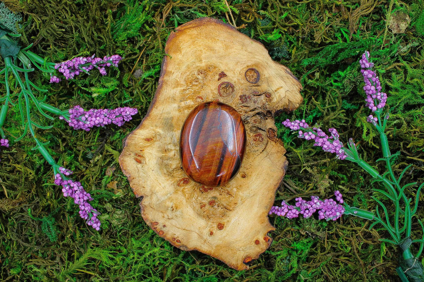 Tiger Eye Palms