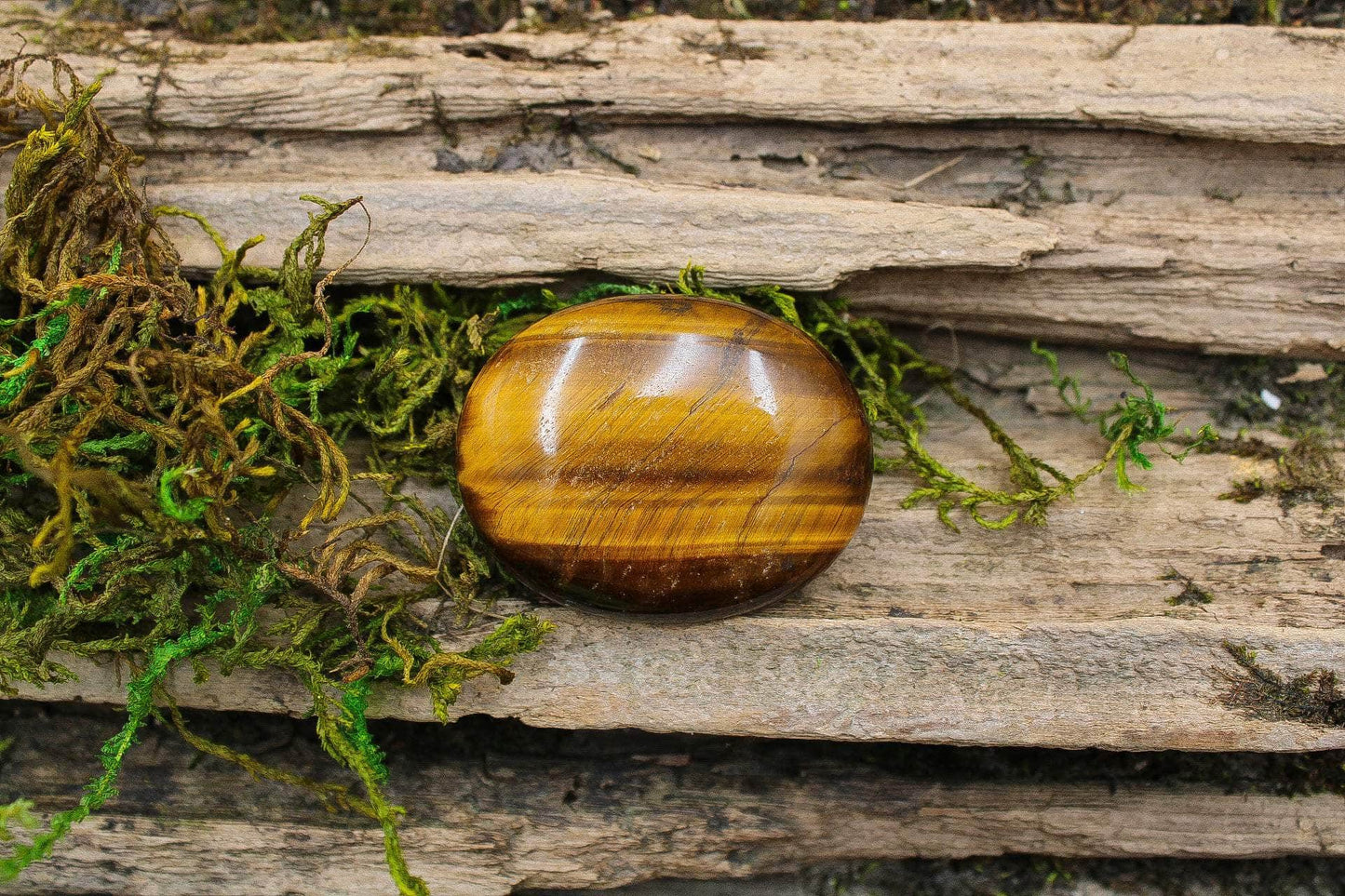 Tiger Eye Palms