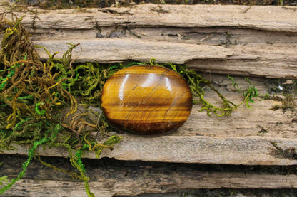 Tiger Eye Palms
