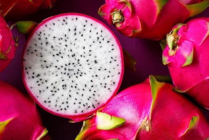 Dragon Fruit Seeds – Non-GMO, Heirloom, for Garden Planting, White Flesh Dragon Fruit