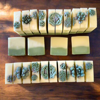 Succulent Soap Bar –  Garden Mint -- Handmade Soap