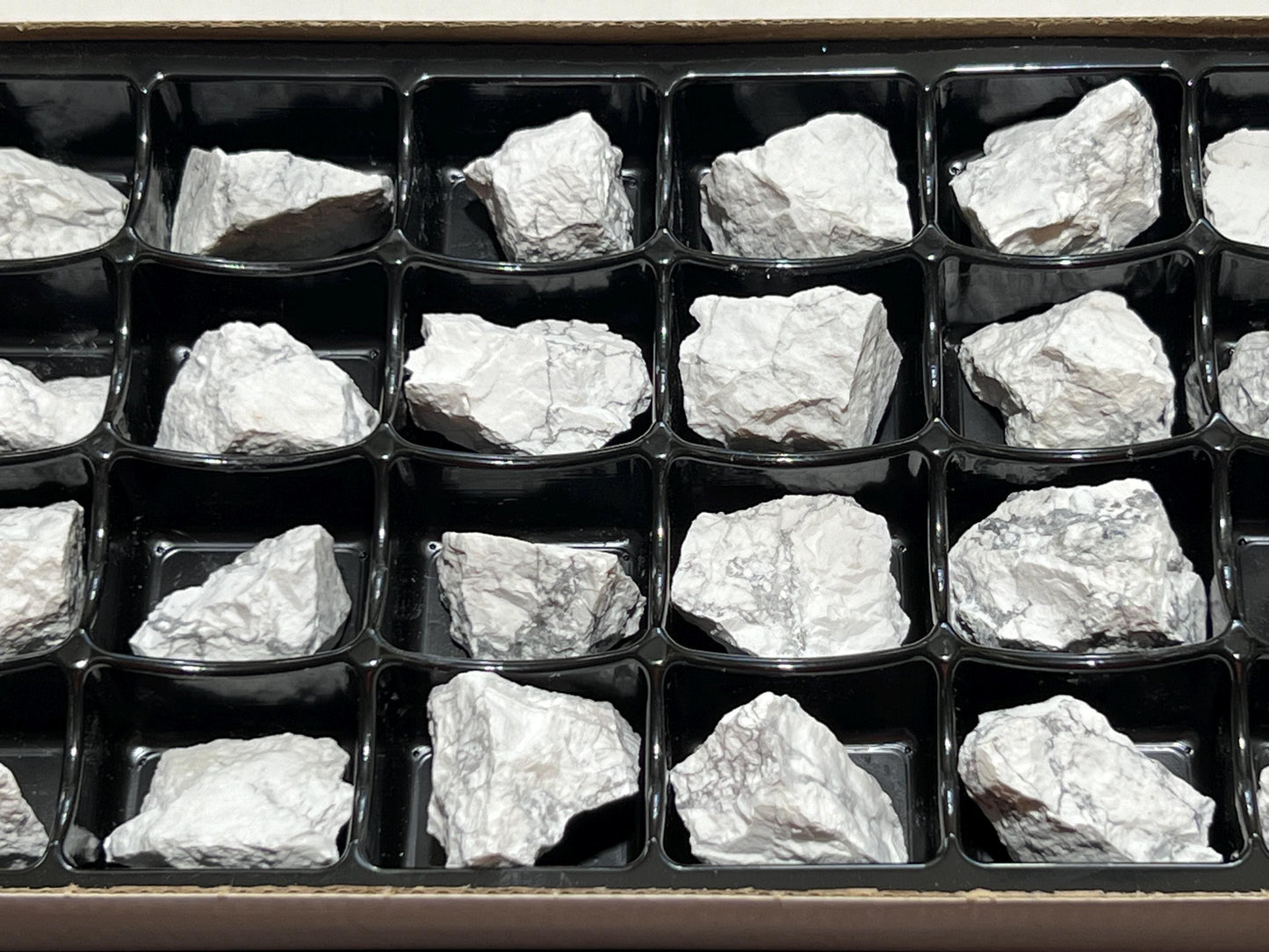 White Howlite Rough Raw Stones (24 Pcs) Boxed Flat
