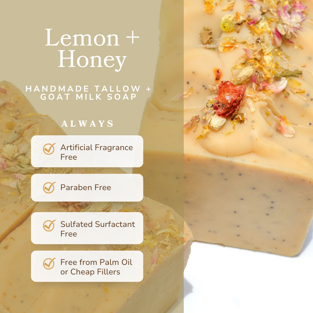 Lemon + Honey + Poppy Seed -- Handmade Tallow Soap Bar