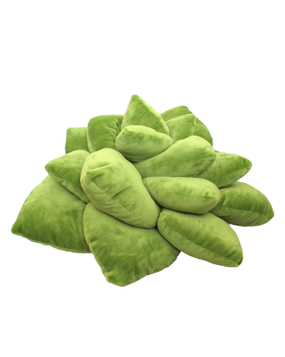 Big Pop Succulent® - Olive Green