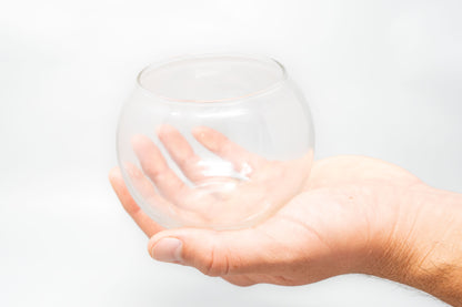 Air Plant Bubble Bowl Terrarium