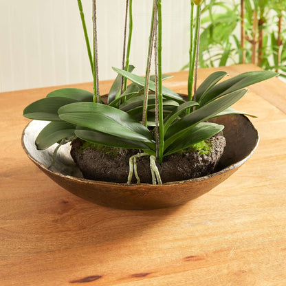 Antique Brass Decorative Bowl with Organic Rim