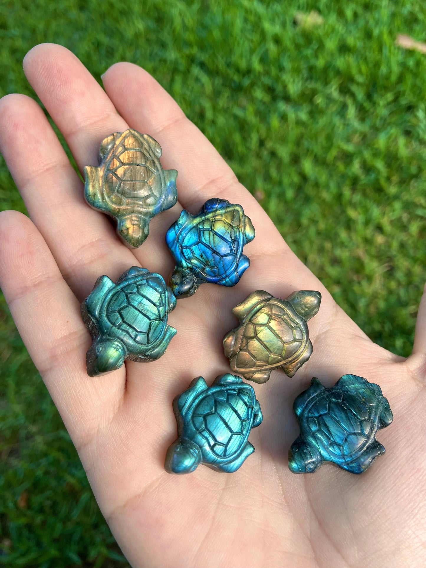 Labradorite Turtle Carving