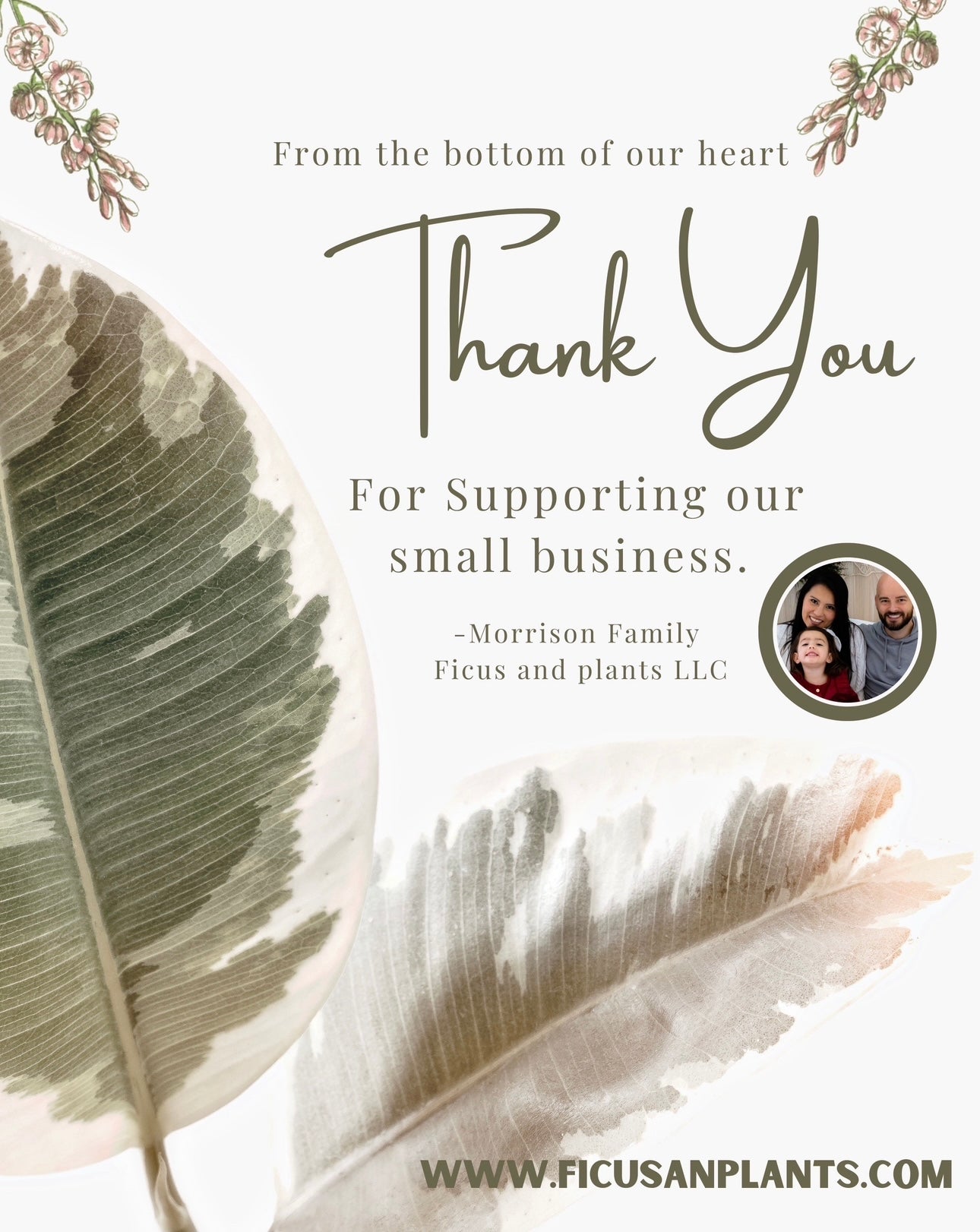 ghost woven blanket 50x60” clearance with potted plants