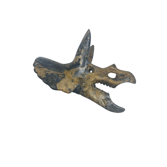 Gemstone Triceratops Skull