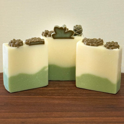 Succulent Soap Bar –  Garden Mint -- Handmade Soap