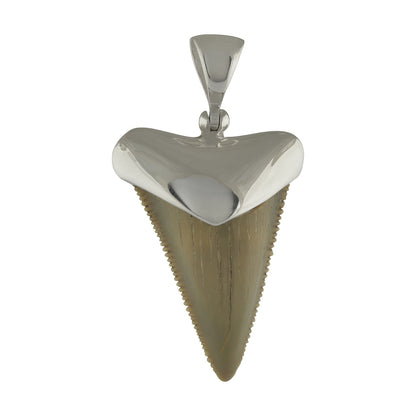 Starborn Fossil Shark Tooth Cap Setting Pendant in Fine Sterling Silver