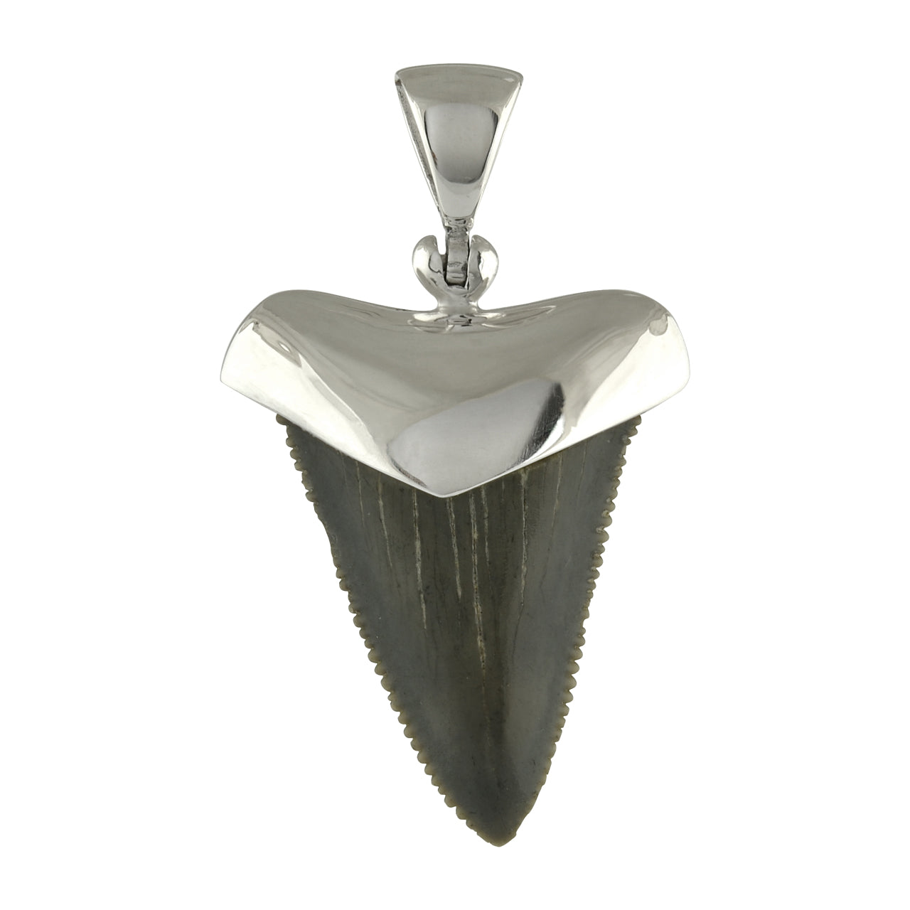 Starborn Fossil Shark Tooth Cap Setting Pendant in Fine Sterling Silver