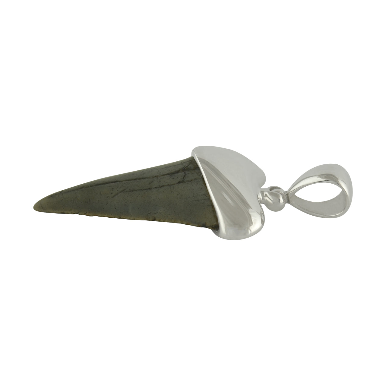 Starborn Fossil Shark Tooth Cap Setting Pendant in Fine Sterling Silver