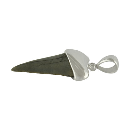 Starborn Fossil Shark Tooth Cap Setting Pendant in Fine Sterling Silver