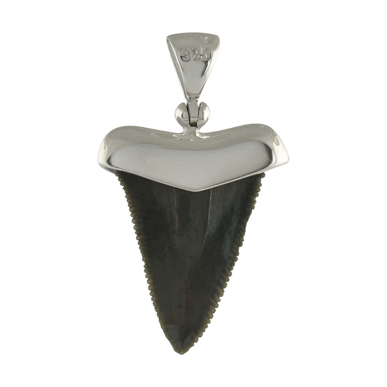 Starborn Fossil Shark Tooth Cap Setting Pendant in Fine Sterling Silver