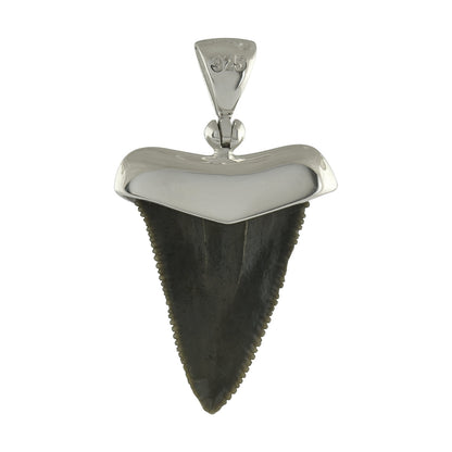 Starborn Fossil Shark Tooth Cap Setting Pendant in Fine Sterling Silver