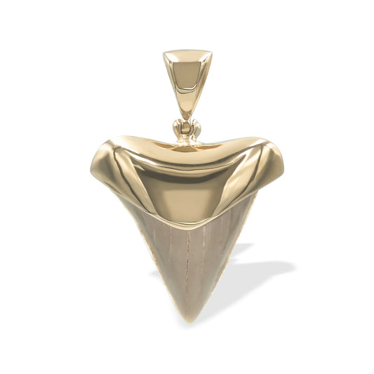 Starborn Creations 18k Gold Plated Brass Light Fossil Shark Tooth Pendant