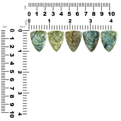 Starborn Labradorite Hand Carved Cabochon Dragon Carving