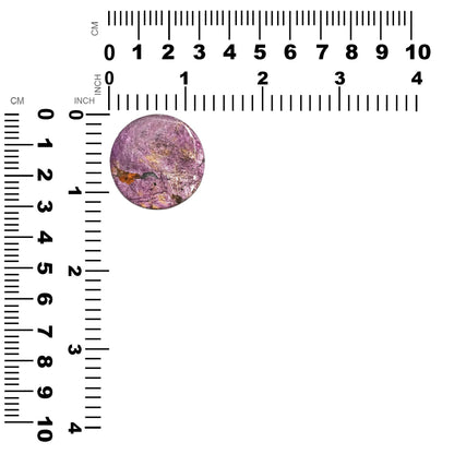 Starborn Purpurite One-of-a-Kind Round Cabochon (32mm) - 1 Piece
