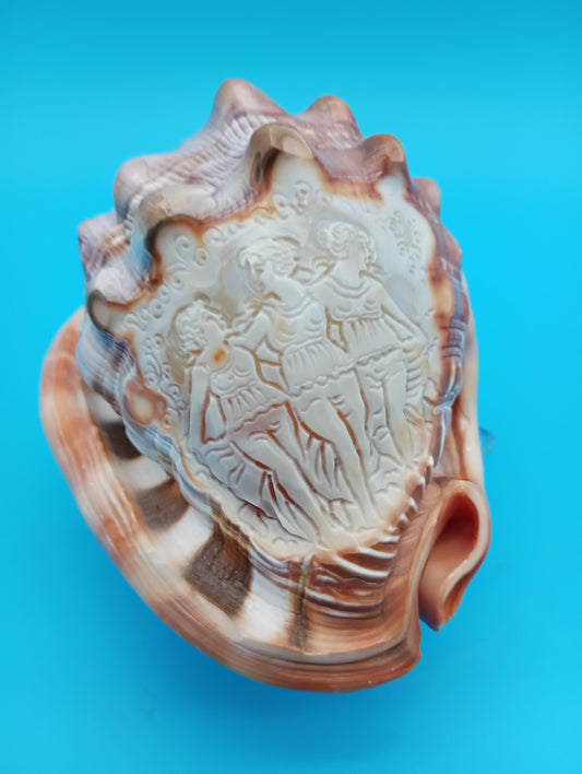 Signed Carved Cameo Three Grace Graces Shell 4.4" - Cassis Cornuta
