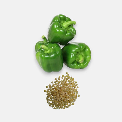 Green Sweet Pepper Seeds – Heirloom, Non-GMO Capsicum Seeds for Home Garden and Container Growing