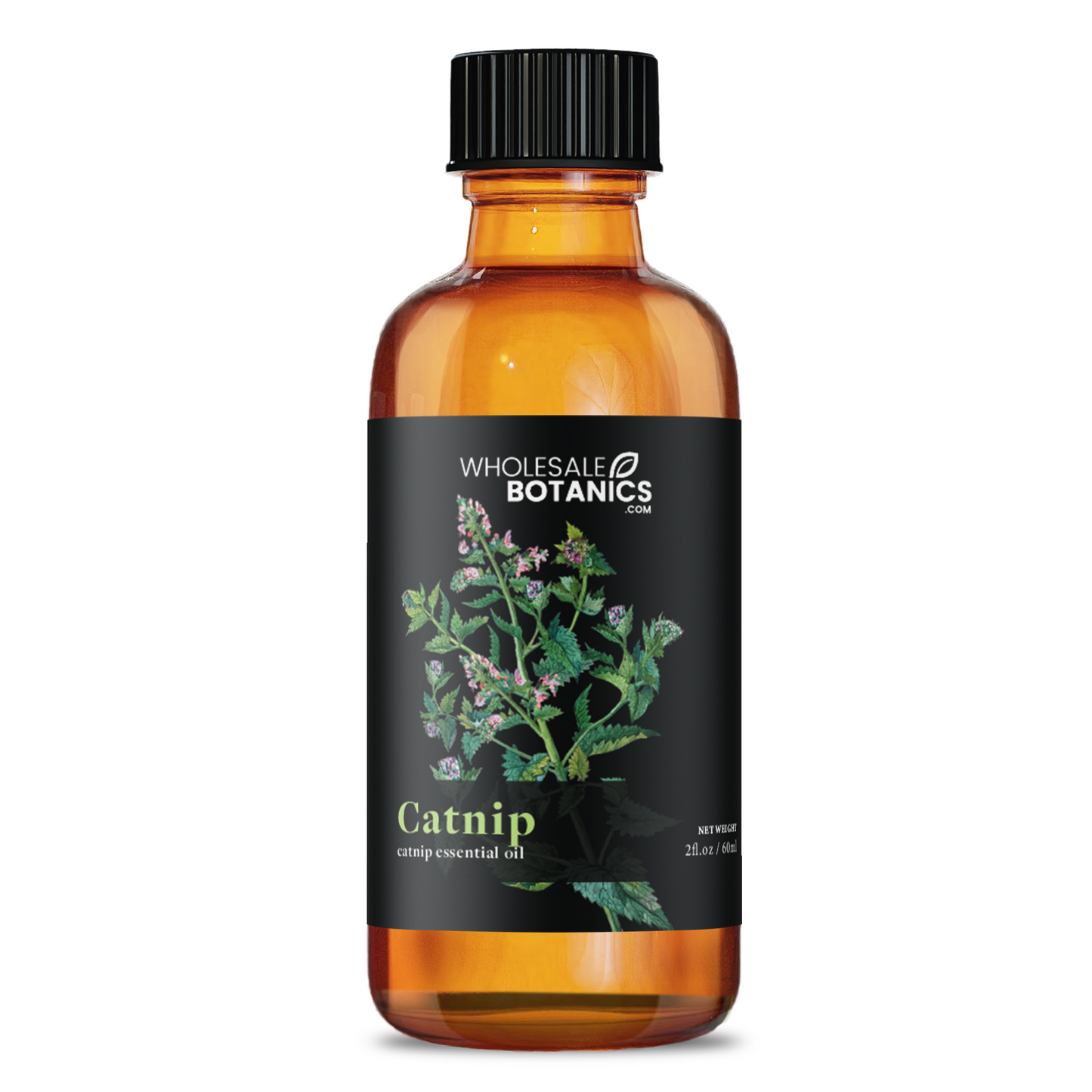 Catnip Essential Oil