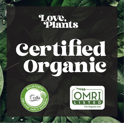 Houseplant Care Kit – Complete Indoor Plant Fertilizer & Maintenance Set
