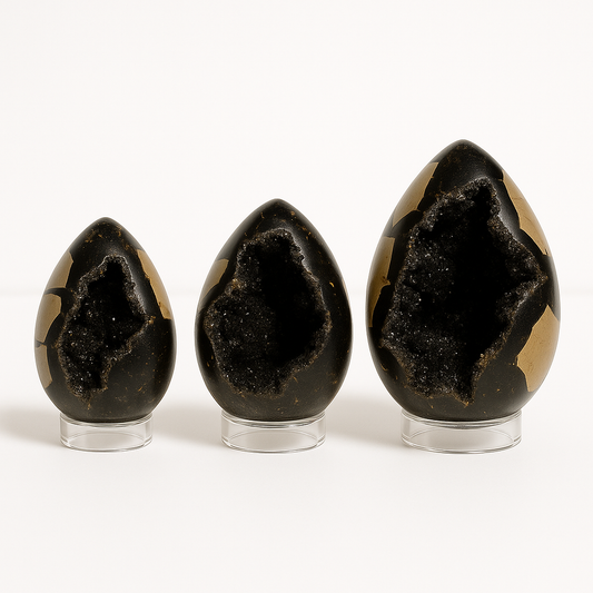 Dark Septarian Geode – Druzy Interior