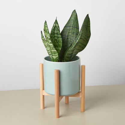 Cylinder Planter with Wood Stand - 5" Pot, multiple colors
