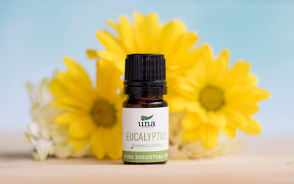 Eucalyptus Essential Oil | Pure Essential Oil | Una Biologicals