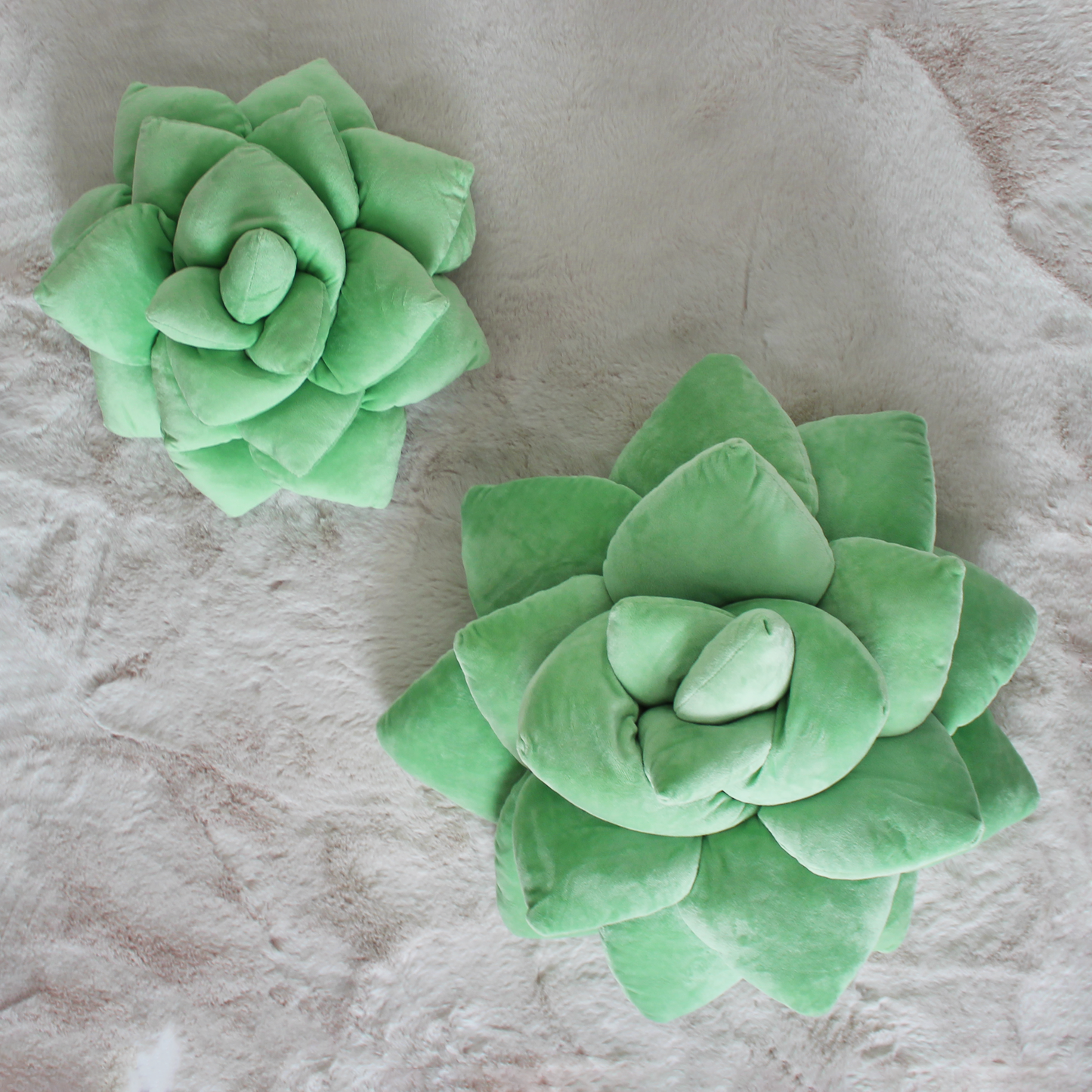 Big Pop Succulent® - Sage Green