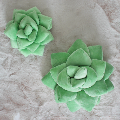 Big Pop Succulent® - Sage Green