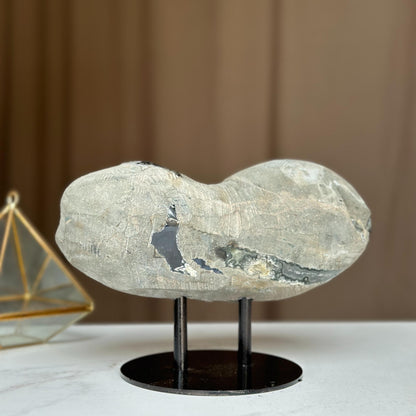 Rare Amethyst Geode with Calcite & Quartz – Colorful Microcrystal Formation on Stand | Collector Crystal