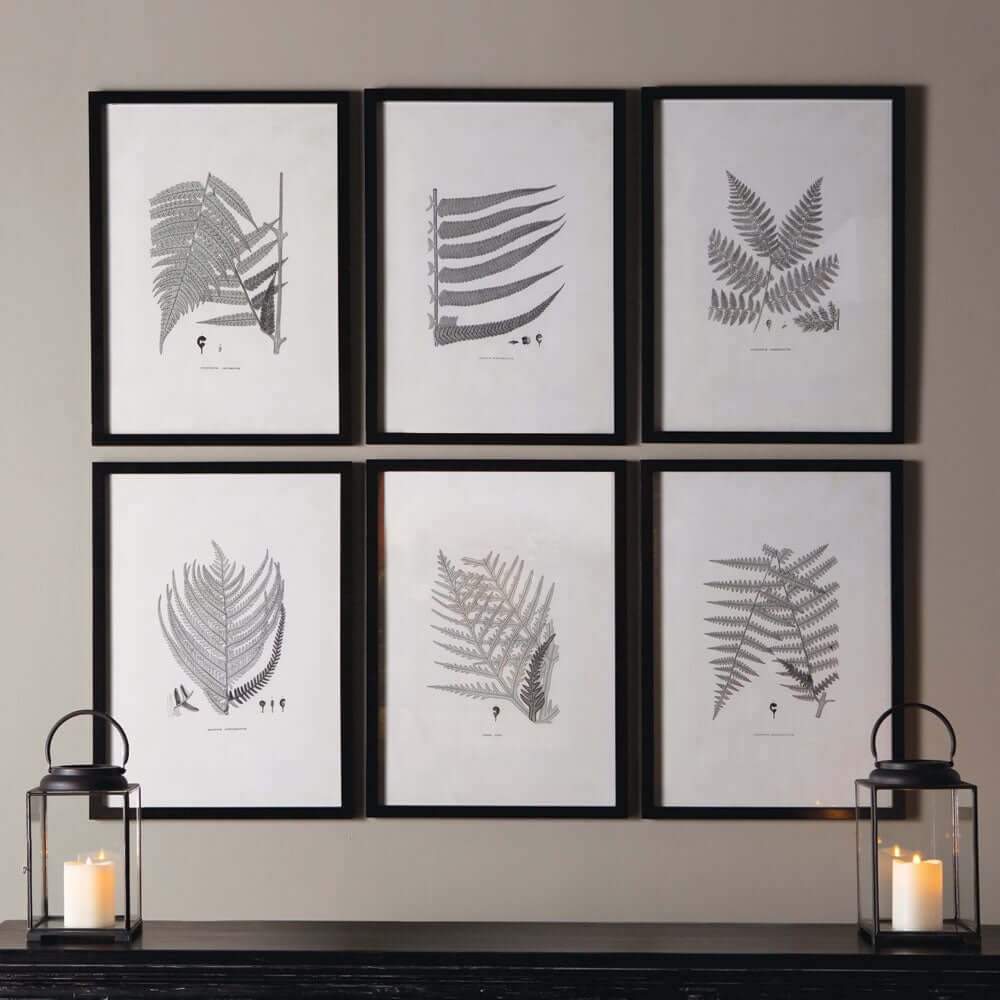 Framed Set of Fern Botanical Prints in Black and White (Set of 6)